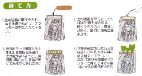 LP-080413012.jpg (81682 �o�C�g)