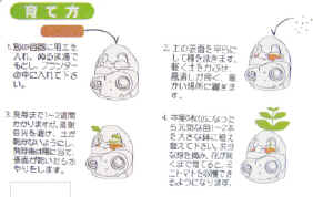 LP-080413013.jpg (81130 �o�C�g)
