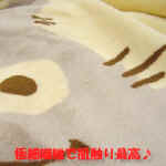 T-07_10_16 004.jpg (52644 �o�C�g)