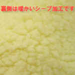 T-07_10_16 006.jpg (39631 �o�C�g)